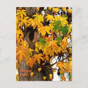 Feuilles automnales et carte postale arborescente