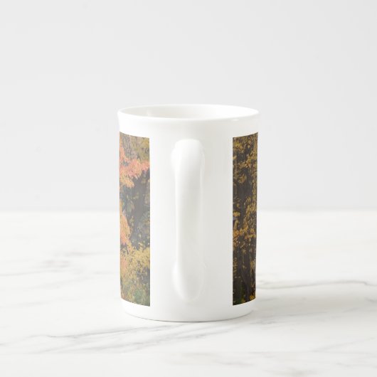 Feuilles automnales Tulip Poplar Mug (Dos)