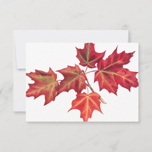 Feuilles Automne Mariage Automne Carte RSVP (Dos)