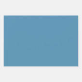 Feuilles bleus et fleurs blanches sur Arrière - pl (Devant 2)