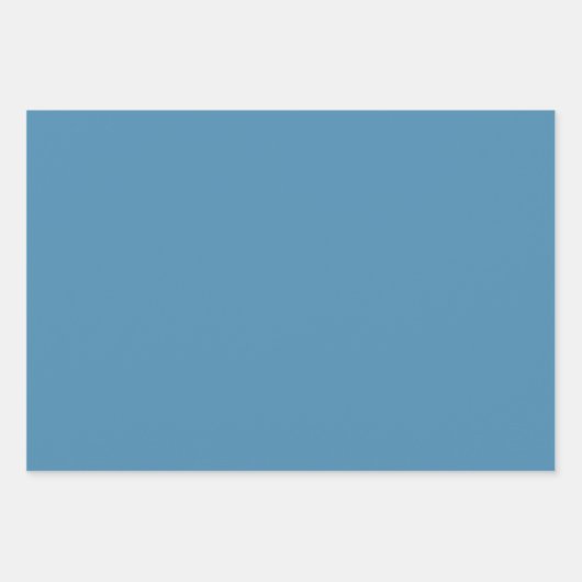 Feuilles bleus et fleurs blanches sur Arrière - pl (Devant 2)