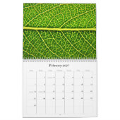 FEUILLES ! Calendrier (Feb 2027)