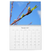 FEUILLES ! Calendrier (Jan 2027)
