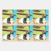 Feuilles colorées d'enveloppement de chèvre (Devant 2)