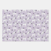 Feuilles dalmatiennes et papiers d'enveloppement (Devant 3)