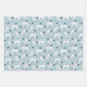 Feuilles dalmatiennes et papiers d'enveloppement (Devant 2)