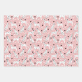 Feuilles dalmatiennes et papiers d'enveloppement (Devant)