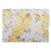 Feuilles d'automne (Devant horizontal)