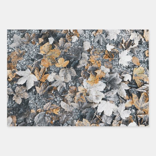 Feuilles d'automne (Devant 2)