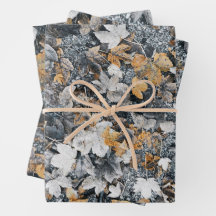 Feuilles d'automne