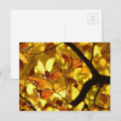 Feuilles d'automne carte postale moutarde jaune (Devant / Derrière)