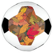 Feuilles d'automne colorées (Tourné)