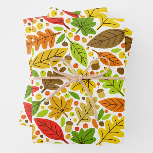 Feuilles d'automne colorées (En situation)