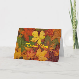 Feuilles d'automne colorées Merci note