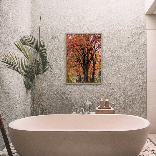 Feuilles d'automne colorées Photographie