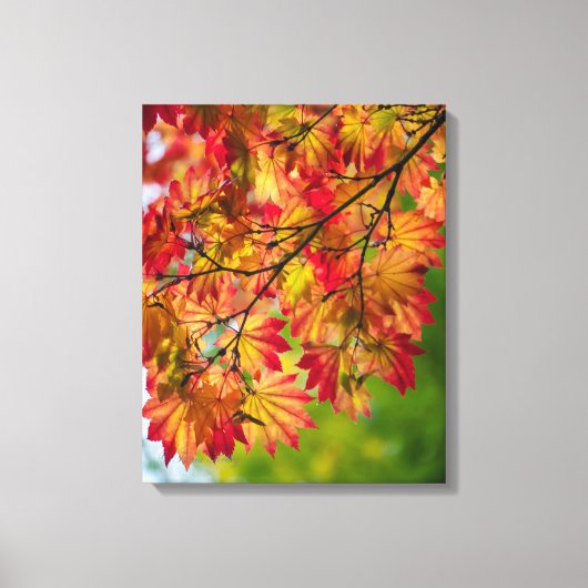 Feuilles d'automne colorées sur toile (Recto)
