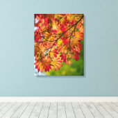 Feuilles d'automne colorées sur toile (Insitu (Plancher de Bois))