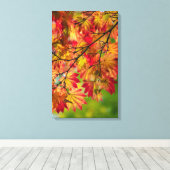 Feuilles d'automne colorées sur toile (Insitu (Plancher de Bois))