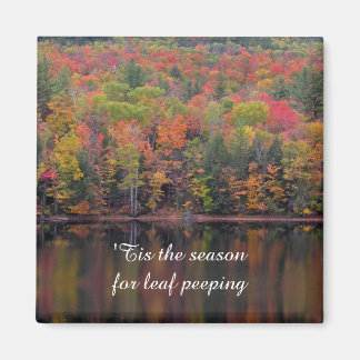 Feuilles d'automne Couleur d'automne Magnet