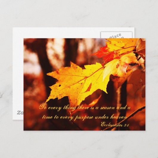 Feuilles d'automne dans la carte postale Poconos (Devant / Derrière)