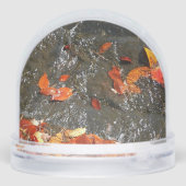 Feuilles d'automne dans la cascade I Photographie  (Arrière)