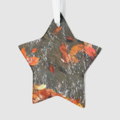 Feuilles d'automne dans la cascade I Photographie (devant)