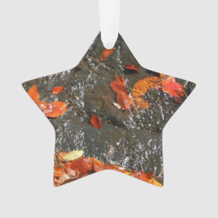 Feuilles d'automne dans la cascade I Photographie