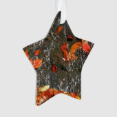 Feuilles d'automne dans la cascade I Photographie (devant)