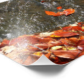 Feuilles d'automne dans la cascade I Photographie (Coin)