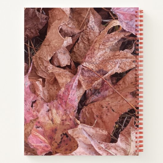 Feuilles d'automne du journal spiral (Dos)