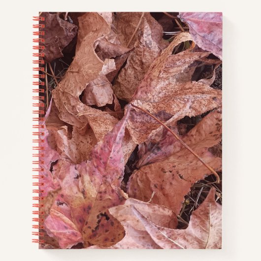 Feuilles d'automne du journal spiral (Devant)