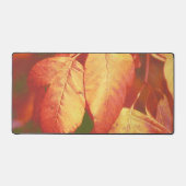 Feuilles d'automne en cuivre et rouge Art Desk Pad (Recto)