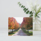 Feuilles d'automne en Virginie Carte postale Glen (Debout devant)