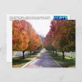 Feuilles d'automne en Virginie Carte postale Glen (Devant / Derrière)