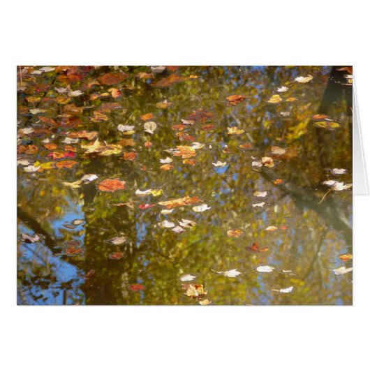 Feuilles d'automne et reflet du ruisseau à Greenbe (Devant horizontal)