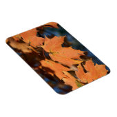 Feuilles d'automne Magnet flexible (Côté Droit)