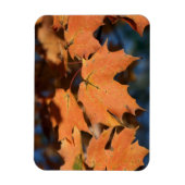 Feuilles d'automne Magnet flexible (Vertical)