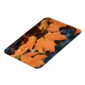 Feuilles d'automne Magnet flexible (Côté Gauche)