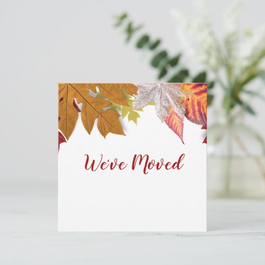 Feuilles d'automne Nous avons déplacé la carte de (Debout devant)