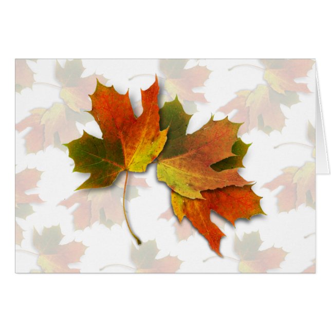 Feuilles d'automne orange et doré (Devant horizontal)