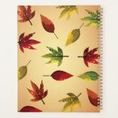 Feuilles d'automne picturales (Dos)