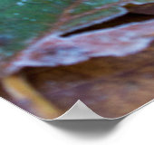 Feuilles d'automne Poster Papier (Matte) (Coin)