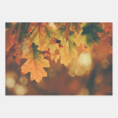 Feuilles d'automne rustiques enveloppant des feuil (Devant 3)