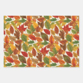 Feuilles d'automne saison d'automne Nature Pattern (Devant 2)