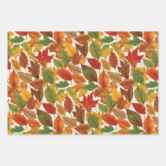 Feuilles d'automne saison d'automne Nature Pattern (Devant 2)