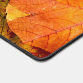 Feuilles d'automne tombées (Coin)