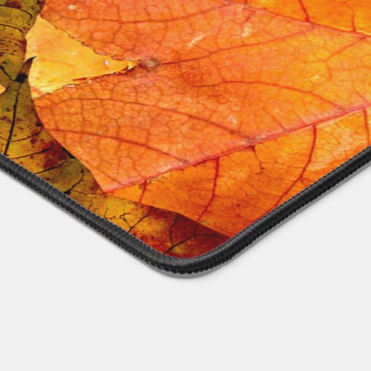 Feuilles d'automne tombées (Coin)