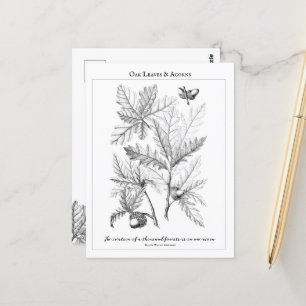 Feuilles de chêne et Acorns Carte postale personna