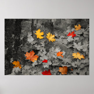 Feuilles de couleur dans une affiche du monde noir
