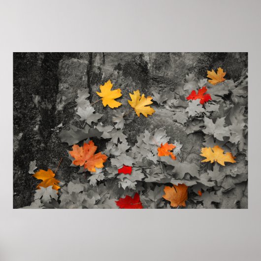 Feuilles de couleur dans une affiche du monde noir (Devant)